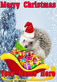 Igelkott Jultomte: Humoristiskt Personligt Julkort A5