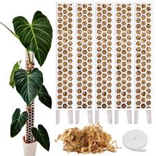 Växtstöd för Monstera - Mosspåle och Tillbehör