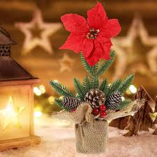 Julstjärna med Rött Bär i Kruka - Dekoration för Hemmet